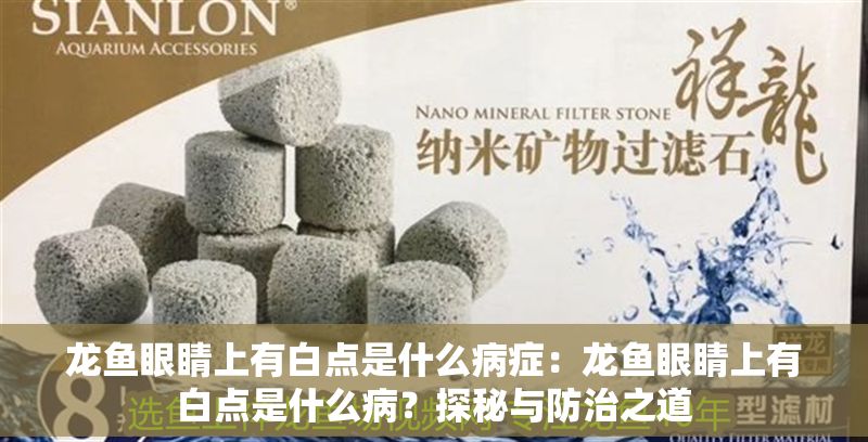 龍魚眼睛上有白點(diǎn)是什么病癥：龍魚眼睛上有白點(diǎn)是什么病？探秘與防治之道