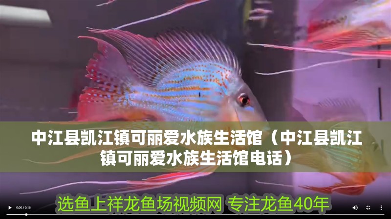 中江縣凱江鎮可麗愛水族生活館（中江縣凱江鎮可麗愛水族生活館電話）
