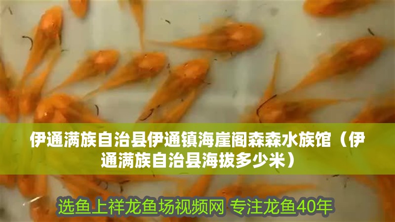 伊通滿族自治縣伊通鎮海崖閣森森水族館（伊通滿族自治縣海拔多少米）