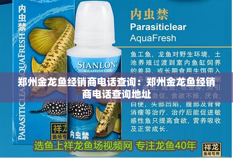 鄭州金龍魚經(jīng)銷商電話查詢：鄭州金龍魚經(jīng)銷商電話查詢地址