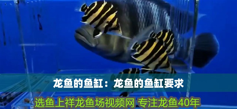 茂名二手魚缸轉(zhuǎn)讓市場電話地址