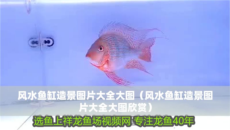 風(fēng)水魚缸造景圖片大全大圖（風(fēng)水魚缸造景圖片大全大圖欣賞）
