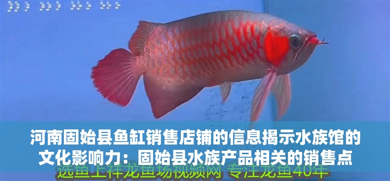 河南固始縣魚缸銷售店鋪的信息揭示水族館的文化影響力：固始縣水族產品相關的銷售點