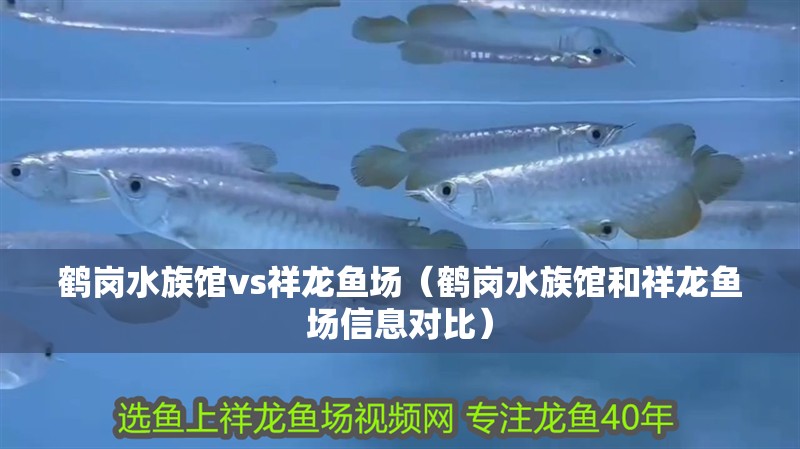 鶴崗水族館vs祥龍魚場（鶴崗水族館和祥龍魚場信息對比）