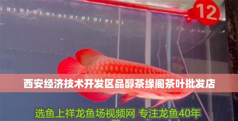 西安經濟技術開發區品醇茶緣閣茶葉批發店