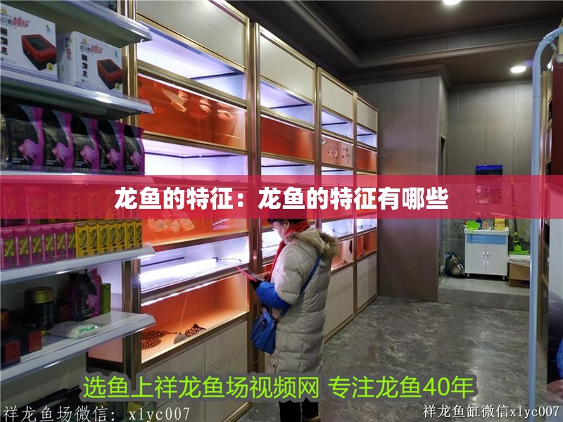 龍魚的特征：龍魚的特征有哪些
