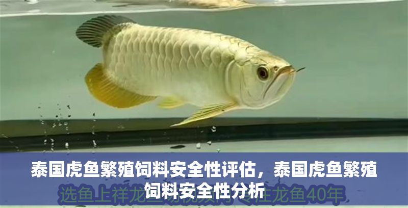 泰國虎魚繁殖飼料安全性評估，泰國虎魚繁殖飼料安全性分析