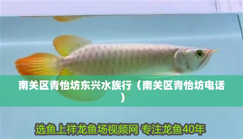 南關區青怡坊東興水族行（南關區青怡坊電話）