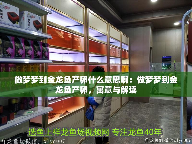 做夢夢到金龍魚產(chǎn)卵什么意思啊：做夢夢到金龍魚產(chǎn)卵，寓意與解讀