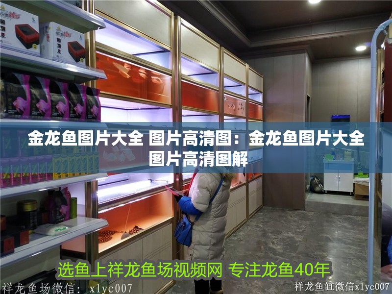 金龍魚圖片大全 圖片高清圖：金龍魚圖片大全 圖片高清圖解