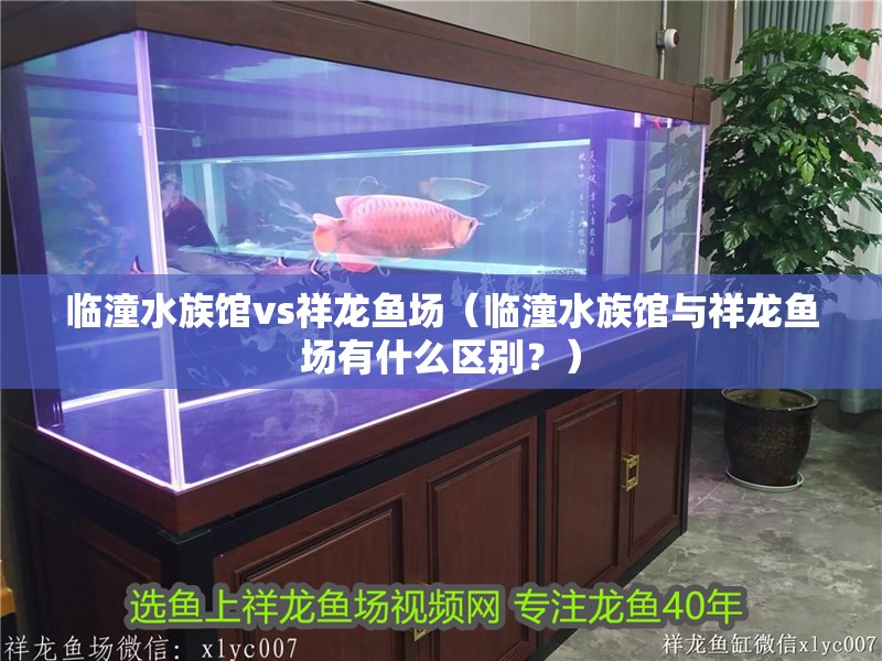 臨潼水族館vs祥龍魚(yú)場(chǎng)（臨潼水族館與祥龍魚(yú)場(chǎng)有什么區(qū)別？）