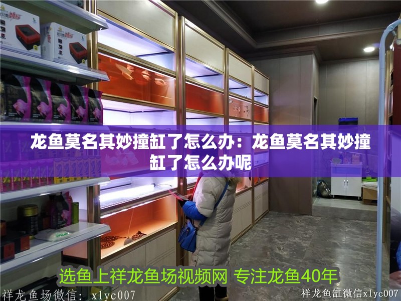 龍魚莫名其妙撞缸了怎么辦：龍魚莫名其妙撞缸了怎么辦呢