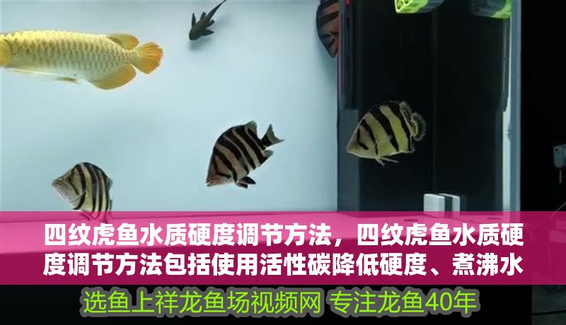 四紋虎魚水質(zhì)硬度調(diào)節(jié)方法，四紋虎魚水質(zhì)硬度調(diào)節(jié)方法包括使用活性碳降低硬度、煮沸水法和配比法等