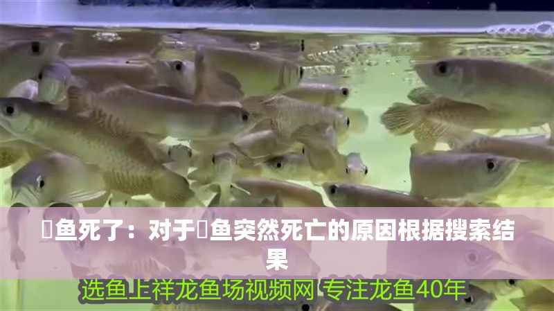魟魚死了：對于魟魚突然死亡的原因根據搜索結果