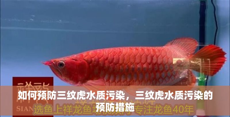 如何預(yù)防三紋虎水質(zhì)污染，三紋虎水質(zhì)污染的預(yù)防措施