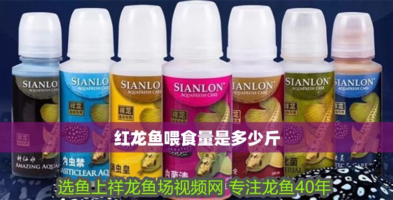 紅龍魚喂食量是多少斤 紅龍魚喂食量是多少斤 龍魚百科 第1張