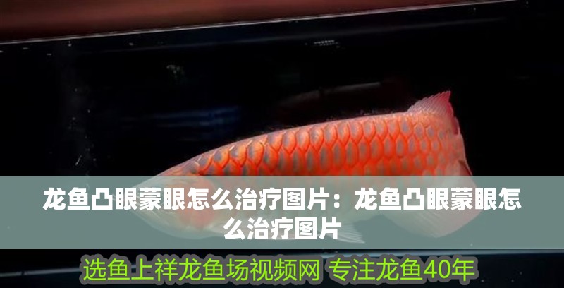 龍魚凸眼蒙眼怎么治療圖片：龍魚凸眼蒙眼怎么治療圖片