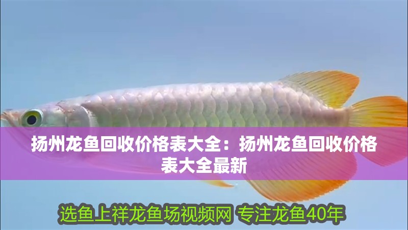 揚州龍魚回收價格表大全：揚州龍魚回收價格表大全最新