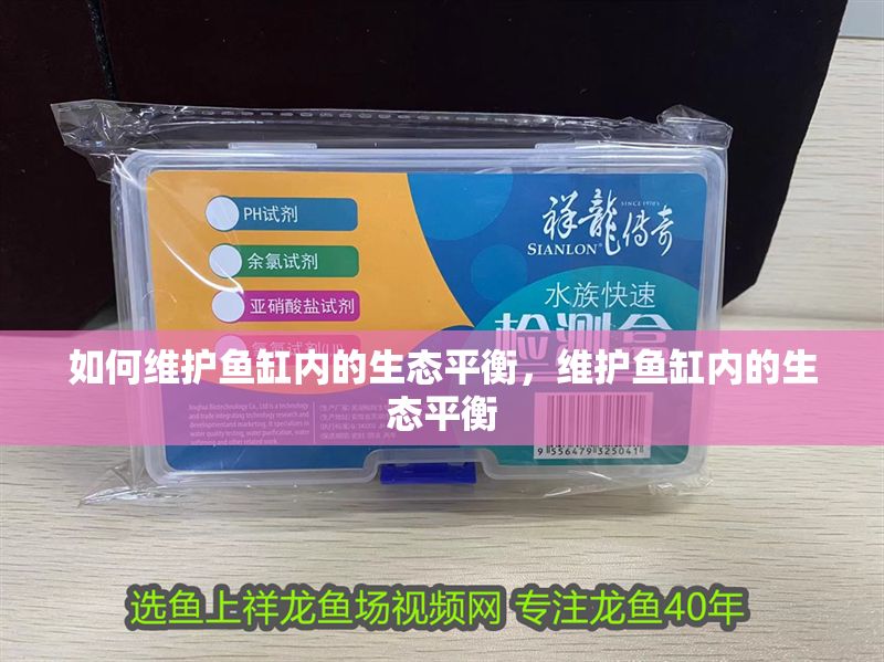 如何維護魚缸內的生態平衡，維護魚缸內的生態平衡