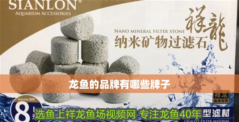 龍魚的品牌有哪些牌子