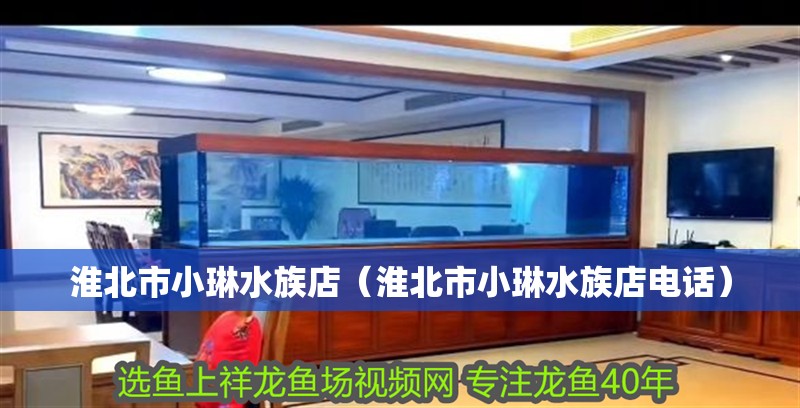 淮北市小琳水族店（淮北市小琳水族店電話）