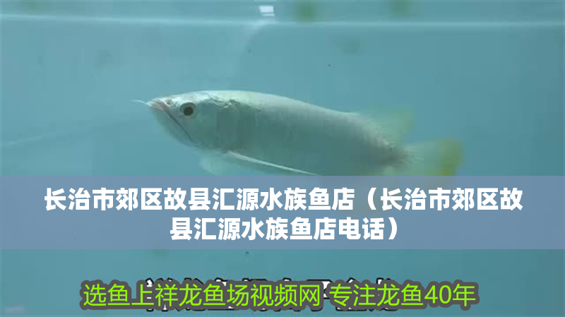 長治市郊區(qū)故縣匯源水族魚店（長治市郊區(qū)故縣匯源水族魚店電話）