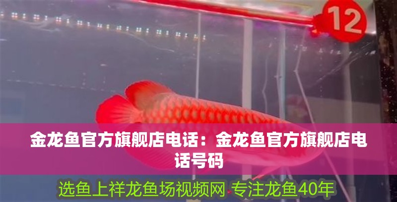 金龍魚(yú)官方旗艦店電話(huà)：金龍魚(yú)官方旗艦店電話(huà)號(hào)碼