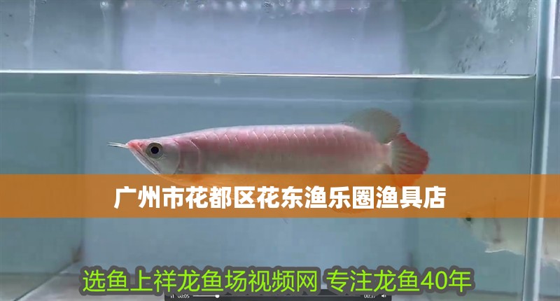 廣州市花都區(qū)花東漁樂(lè)圈漁具店