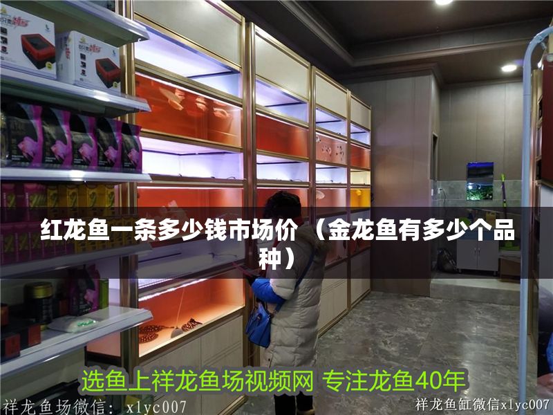 紅龍魚一條多少錢市場價 （金龍魚有多少個品種）