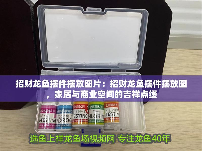 招財龍魚擺件擺放圖片：招財龍魚擺件擺放圖，家居與商業空間的吉祥點綴