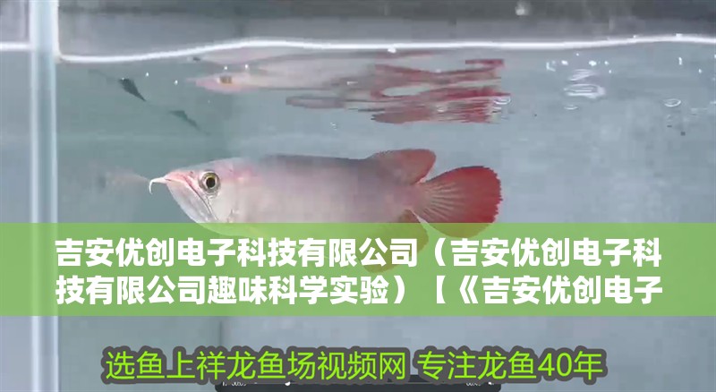 吉安優創電子科技有限公司（吉安優創電子科技有限公司趣味科學實驗）【《吉安優創電子科技有限公司的趣味科學實驗》】