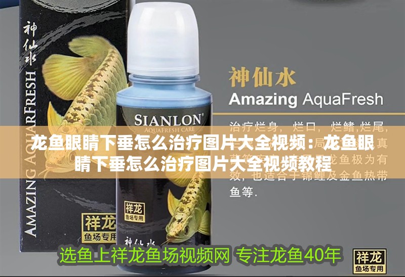 龍魚眼睛下垂怎么治療圖片大全視頻：龍魚眼睛下垂怎么治療圖片大全視頻教程