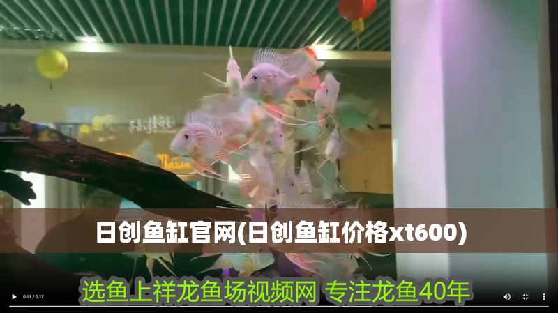 日創魚缸官網(日創魚缸價格xt600)