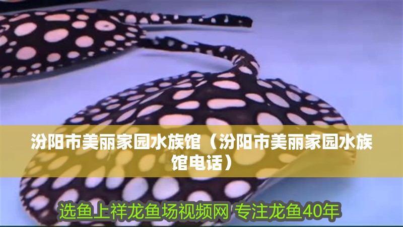汾陽市美麗家園水族館（汾陽市美麗家園水族館電話）