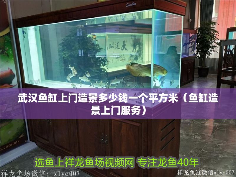 武漢魚缸上門造景多少錢一個平方米（魚缸造景上門服務）