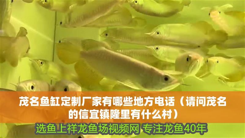 茂名魚缸定制廠家有哪些地方電話（請問茂名的信宜鎮(zhèn)隆里有什么村）