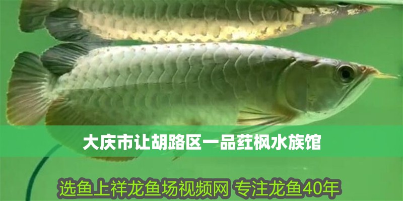 大慶市讓胡路區一品葒楓水族館