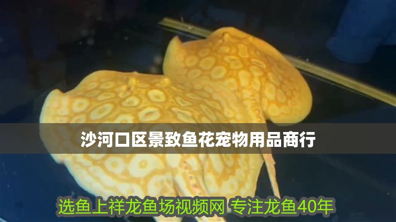 沙河口區(qū)景致魚花寵物用品商行