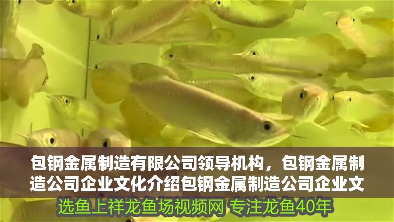 包鋼金屬制造有限公司領(lǐng)導(dǎo)機(jī)構(gòu)，包鋼金屬制造公司企業(yè)文化介紹包鋼金屬制造公司企業(yè)文化介紹