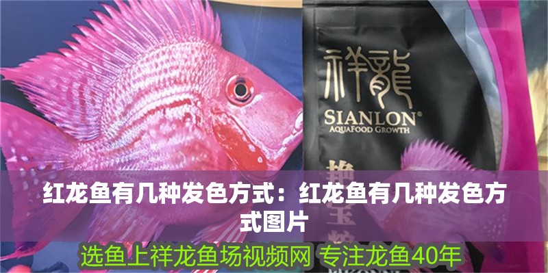 紅龍魚有幾種發色方式：紅龍魚有幾種發色方式圖片