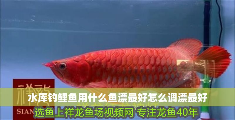 水庫釣鯉魚用什么魚漂最好怎么調漂最好