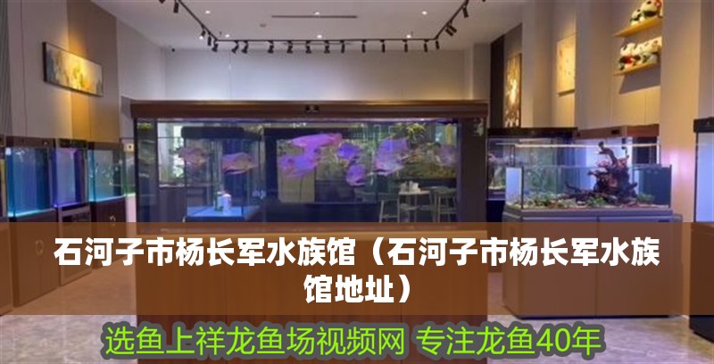 石河子市楊長軍水族館（石河子市楊長軍水族館地址）