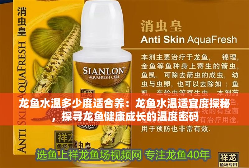 龍魚水溫多少度適合養(yǎng)：龍魚水溫適宜度探秘，探尋龍魚健康成長的溫度密碼