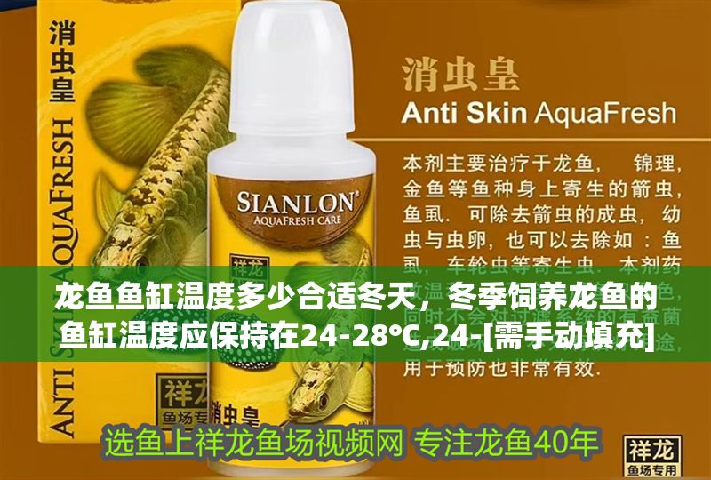 龍魚魚缸溫度多少合適冬天，冬季飼養龍魚的魚缸溫度應保持在24-28℃,24-[需手動填充]