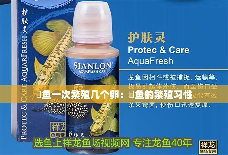 魟魚一次繁殖幾個卵：魟魚的繁殖習(xí)性