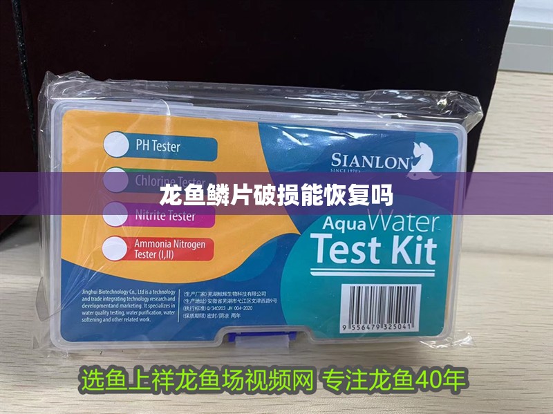 龍魚鱗片破損能恢復嗎