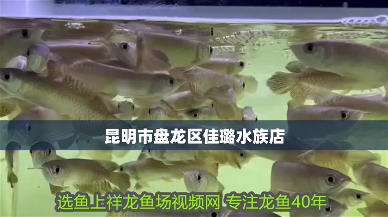 昆明市盤龍區(qū)佳璐水族店