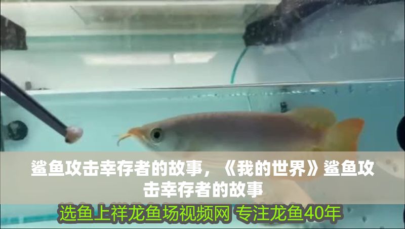 鯊魚攻擊幸存者的故事，《我的世界》鯊魚攻擊幸存者的故事