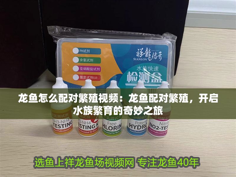 龍魚怎么配對繁殖視頻：龍魚配對繁殖，開啟水族繁育的奇妙之旅