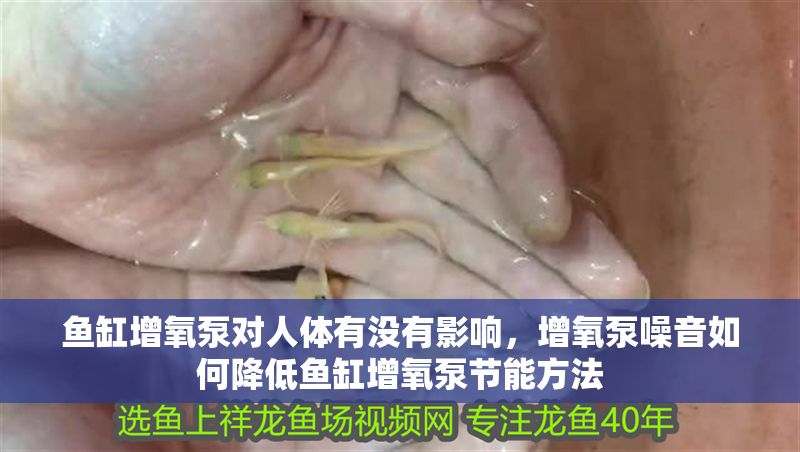 魚缸增氧泵對人體有沒有影響，增氧泵噪音如何降低魚缸增氧泵節能方法